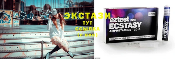 мдпв Богородицк