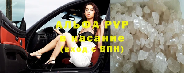 стаф Богданович