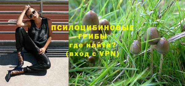 мдпв Богородицк