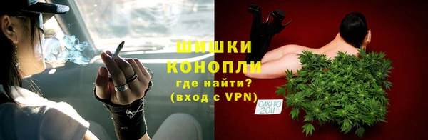 гашик Богородск