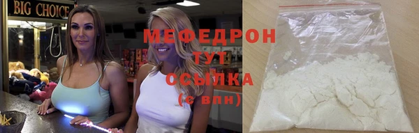 стаф Богданович