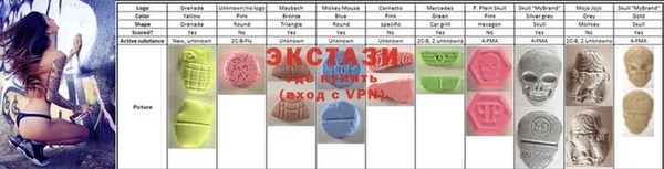 стаф Богданович