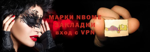 гашик Богородск