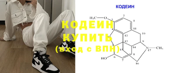 стаф Богданович