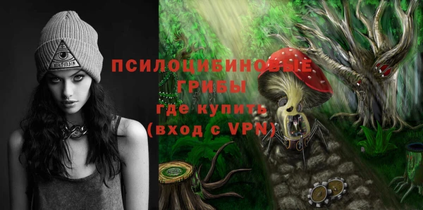 мдпв Богородицк