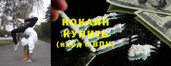 мдпв Богородицк
