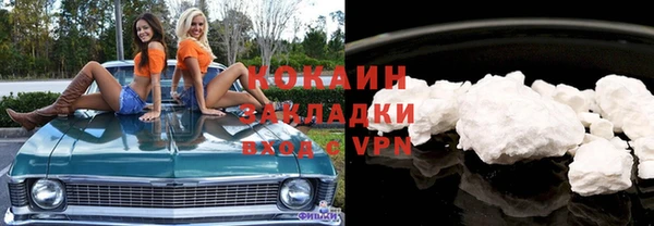 стаф Богданович