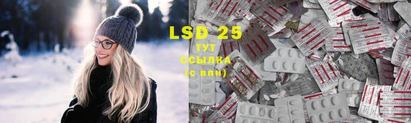стаф Богданович