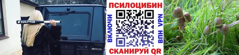 Псилоцибиновые грибы Magic Shrooms  Купить где  Десногорск 